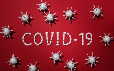 THE IMPACT OF COVID-19 ON SMALL BUSINESS OUTCOMES